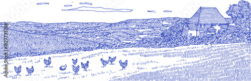 A blue and white drawing of a farm with a house and a group of chickens. The chickens are scattered throughout the field. vector illustration