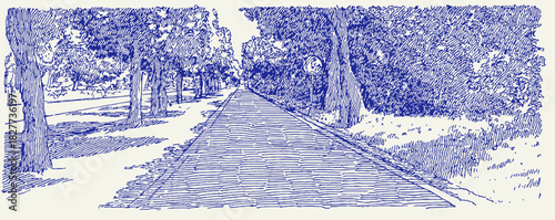 A blue and white drawing of a road with trees in the background. The road is lined with trees and has a sidewalk. vector illustration