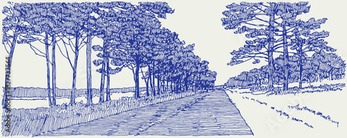 A blue and white drawing of a road with trees on either side. The trees are in the foreground and the road is in the background. vector illustration