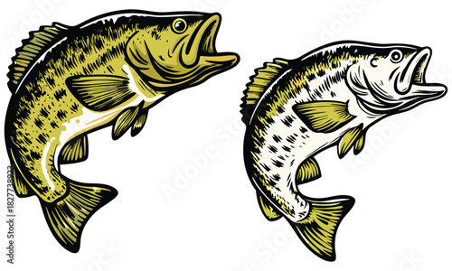 Bass Fish Clipart – Largemouth Fishing SVG