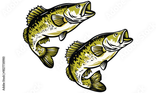 Bass Fish Clipart – Largemouth Fishing SVG