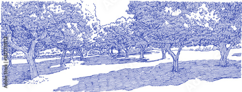 annetdebar_Sketch_of_a_peaceful_Italian_lemon_grove_with_sunl_b7a5db68-e52a-454e-b65f-7a7a4cc3b3ba_1_traced