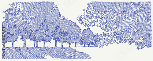 A blue and white drawing of trees. The trees are in a row and are very close together. vector illustration