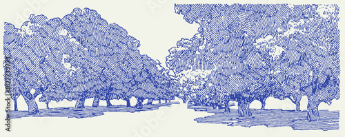 annetdebar_Sketch_of_a_peaceful_Italian_lemon_grove_with_sunl_b7a5db68-e52a-454e-b65f-7a7a4cc3b3ba_3_traced