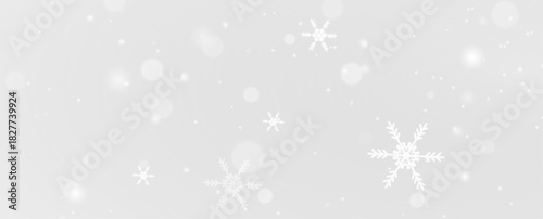 Snowflake ice frost winter frozen cold frame border white transparent decoration pattern.
