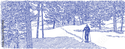 A man is walking on skis in the snow. The snow is white and the sky is blue. vector illustration