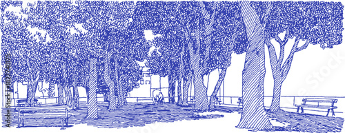 A blue and white drawing of a park with trees and benches. The trees are in the foreground and background. vector illustration