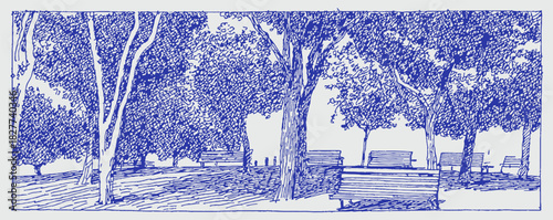 A blue and white drawing of a park with benches and trees. The trees are in the foreground and the benches are in the background. vector illustration