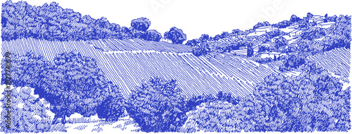 A blue and white drawing of a hillside with trees and a house. The trees are scattered throughout the hillside. vector illustration