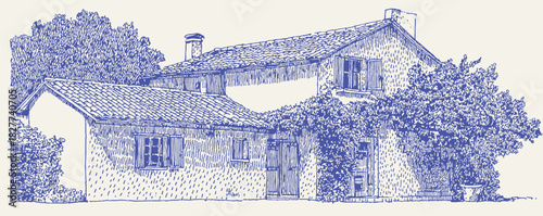 A blue and white drawing of a house with a chimney. The house has a lot of windows and a porch. vector illustration