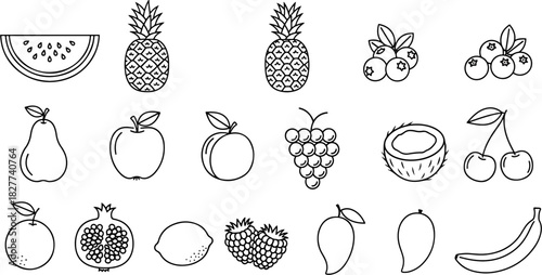 Collection of fresh fruits and berries in outline style, healthy food icons and illustrations for design and decoration