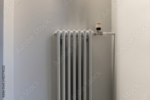 Wallpaper Mural A tall, white cast-iron radiator sits in the corner of the room. Light and shadows are visible on the light gray walls. A thermostat is also present. The background is a backdrop. Torontodigital.ca