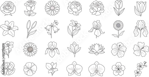 Collection of Diverse Hand-Drawn Outline Flowers and Botanical Elements Isolated on White Background