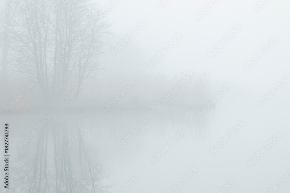 Fototapeta premium A beautiful foggy landscape with bare trees reflecting in a calm lake surface. Early spring scenery in Latvia, Europe.