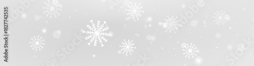 Winter frost snowflake ice frozen cold frame border white transparent decoration pattern.
