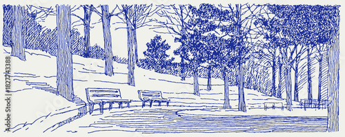 A blue and white picture of a park with benches and trees. The benches are empty. The trees are bare. vector illustration