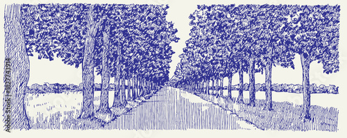 A blue and white drawing of a road with trees on either side. The trees are in the foreground and background. vector illustration