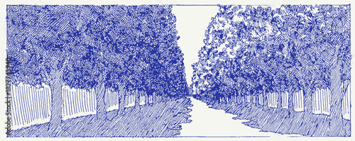 A blue and white drawing of a forest with a road in the middle. The trees are very close together and the road is narrow. vector illustration