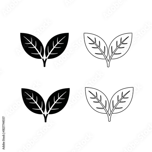 Leaf Icon Set – Minimal Botanical Outline and Solid Leaves Vector