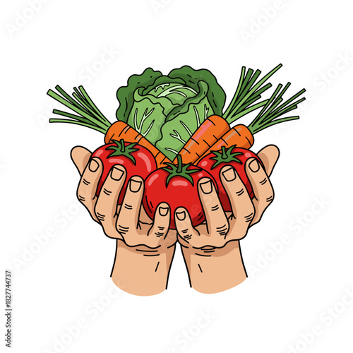 Fresh vegetables held in hands including tomatoes, carrots, and lettuce