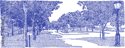 A blue and white drawing of a park with trees and a path. The trees are in the foreground and the path is in the background. vector illustration