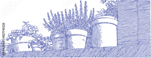 A blue and white drawing of three potted plants. The plants are in different sizes and are placed on a ledge. vector illustration