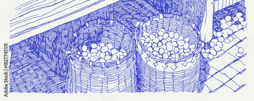 A blue and white drawing of two baskets of fruit. The fruit is apples and oranges. The apples are in the left basket. vector illustration