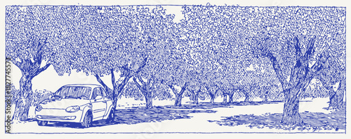 A blue and white picture of a car in front of a row of trees. The car is parked in the middle of the road. vector illustration