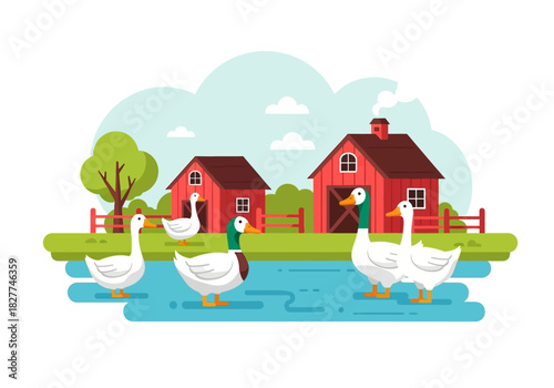 A group of geese swimming in a pond on a farm.