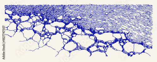 A blue and white drawing of a rocky shoreline. The rocks are scattered across the shoreline, with some larger and some smaller. vector illustration
