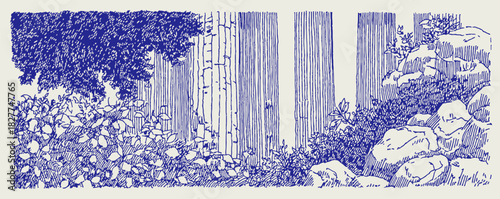 A blue and white drawing of a forest with trees and rocks. The trees are in the foreground and the rocks are in the background. vector illustration
