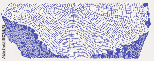 A blue and white drawing of a tree trunk. The trunk is very thick and has a lot of detail. vector illustration
