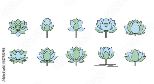 Collection of lotus flower illustrations in various stages of bloom.