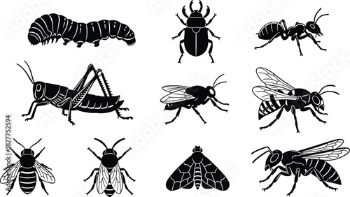 Collection of black vector insect silhouettes featuring ant beetle caterpillar grasshopper bee wasp and fly icons isolated on white background.