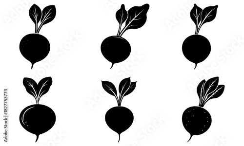 Elegant beet root vegetable silhouettes for modern organic food designs, fresh farm market graphics, vegan lifestyle promotions, or healthy eating campaigns