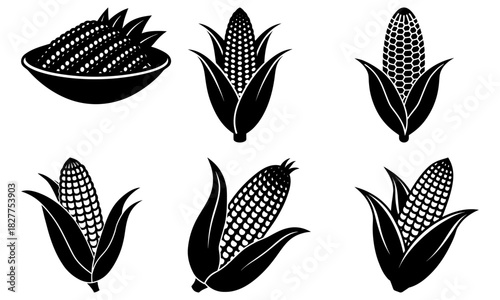 Fresh corn harvest graphic element set for agriculture industry, sustainable farming and healthy eating campaigns with scalable vector origins