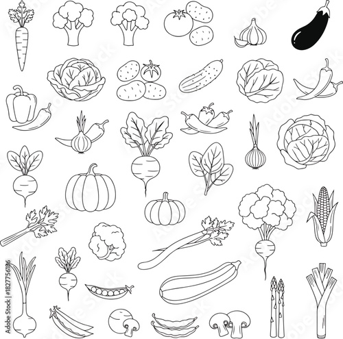 Collection of Fresh Vegetables Outline Icons and Illustrations Set on White Background, Healthy Food Variety