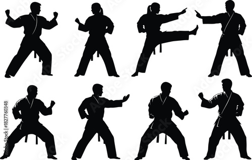 Martial arts silhouettes demonstrating self defense techniques