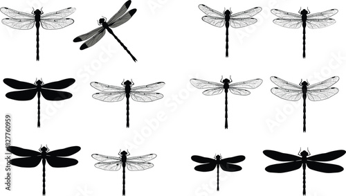 Collection of black and white dragonfly illustrations and silhouettes insect 1