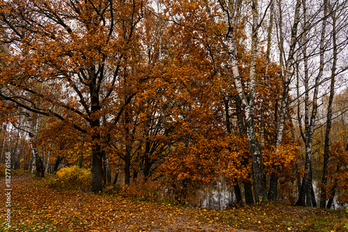 Autumn landscape with colorful trees reflected in water. Seasonal fall scenery with yellow and orange foliage by lake. Nature background for tranquil moment.