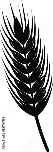 Detailed wheat grain illustration with soft shading for advertising