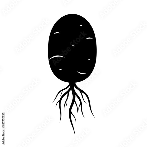 Black silhouette of a potato with roots