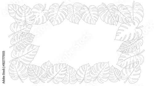 Elegant vector line art frame of tropical Monstera deliciosa leaves, a hand-drawn sketch border for botanical design