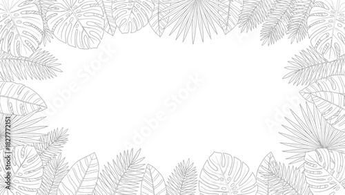 Vector illustration of a tropical border frame made from monstera and palm leaves on white background