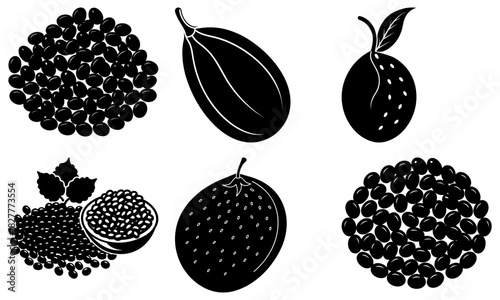 Elegant black and white illustration featuring a variety of fruits and seeds, perfect for minimalist designs and healthy eating concepts, originally from vector art