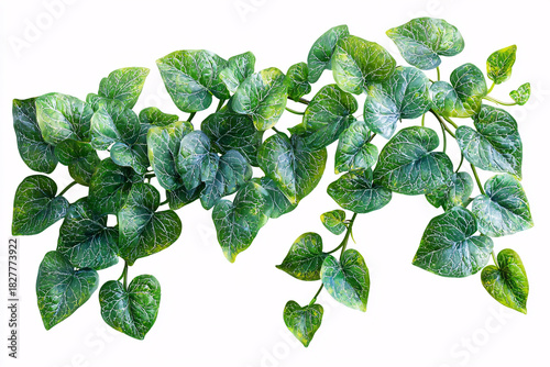 Lush green vine leaves with a vibrant texture, ideal for adding a natural touch to any design or presentation. Perfect for backgrounds and nature-themed projects.