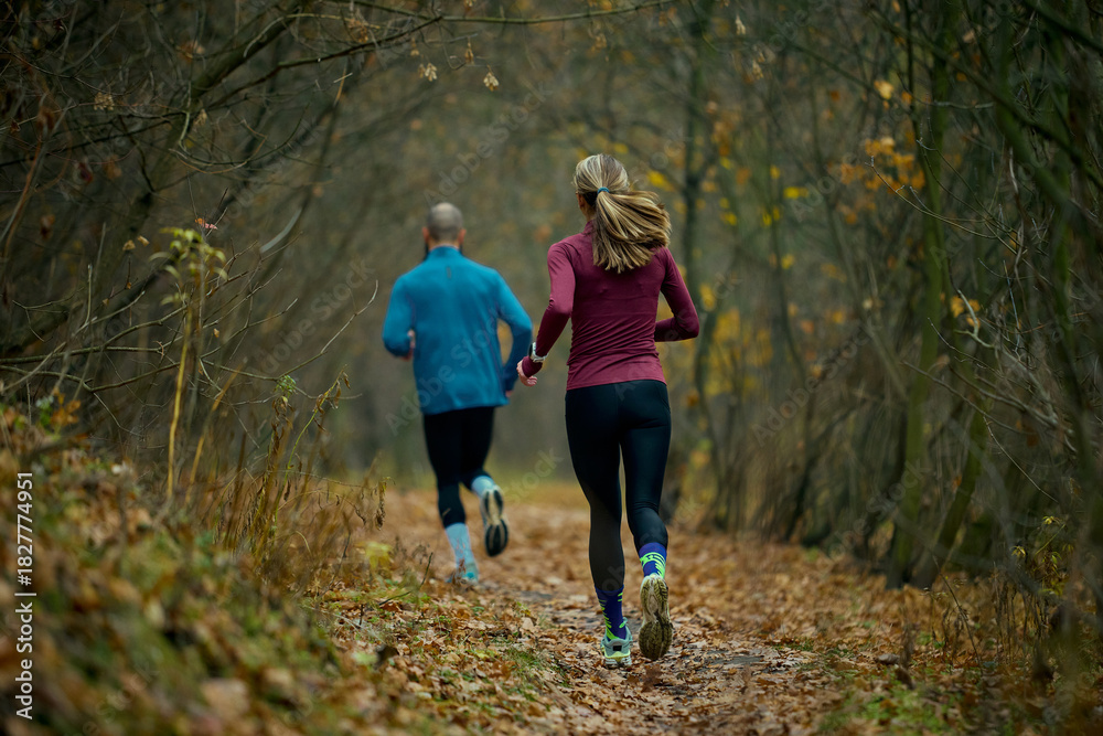 Fototapeta premium Two runners pacing steadily on long forest corridor filled with brown leaves. Concept of fitness routines, wellbeing support, corporate wellness topics and fall running guides.