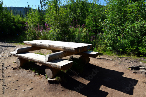 Fototapeta Naklejka Na Ścianę i Meble -  A wooden bench and table for resting while trekking in the mountains. Tatra National Park, Poland. Summer time