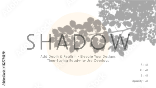 Minimalist vector art with soft beige circle and leafy branch shadows forming subtle typographic shadow overlay for modern graphic design compositions in gentle daylight mood