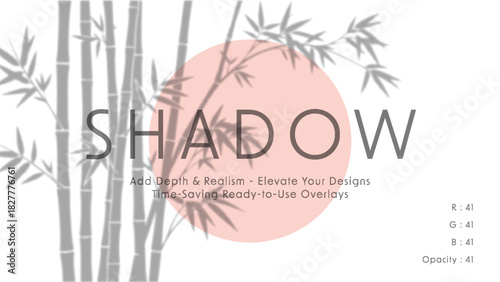 Minimalist vector art with soft bamboo shadows over pale pink sun circle and large word shadow in elegant gray typography on white background